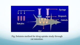 Fig. Doluisio method for drug uptake study through
rat intestine.
 