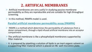 Membrane Absorption Parallel methods of determining drug absorption ppt | PPTX
