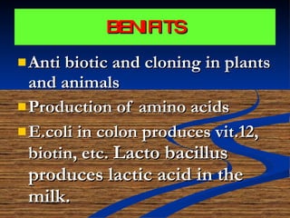 BENIFITS Anti biotic and cloning in plants and animals Production of amino acids E.coli in colon produces vit.12, biotin, etc.  Lacto bacillus produces lactic acid in the milk. 