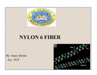 NYLON 6 FIBER
By: Asaye Dessie
Jan. 2019
NYLON 6 FIBER
By: Asaye Dessie
Jan. 2019
1
 