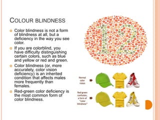 COLOUR BLINDNESS
 Color blindness is not a form
of blindness at all, but a
deficiency in the way you see
color.
 If you are colorblind, you
have difficulty distinguishing
certain colors, such as blue
and yellow or red and green.
 Color blindness (or, more
accurately, color vision
deficiency) is an inherited
condition that affects males
more frequently than
females.
 Red-green color deficiency is
the most common form of
color blindness.
 