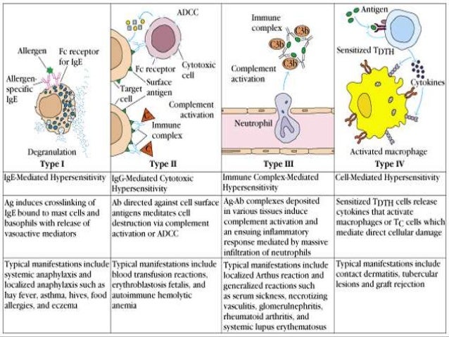 hypersensitivity reactions hypersensitivity reactions