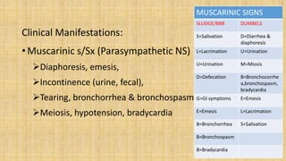 Clinical Manifestations:
• Muscarinic s/Sx (Parasympathetic NS)
Diaphoresis, emesis,
Incontinence (urine, fecal),
Tearing, bronchorrhea & bronchospasm
Meiosis, hypotension, bradycardia
MUSCARINIC SIGNS
SLUDGE/BBB DUMBELS
S=Salivation D=Diarrhea &
diaphoresis
L=Lacrimation U=Urination
U=Urination M=Miosis
D=Defecation B=Bronchocorrhe
a,bronchospasm,
bradycardia
G=GI symptoms E=Emesis
E=Emesis L=Lacrimation
B=Bronchorrhea S=Salivation
B=Bronchospasm
B=Bradycardia
 