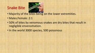 Snake Bite
• Majority of the bites being on the lower extremities.
• Males:Female: 2:1
• 50% of bites by venomous snakes are dry bites that result in
negligible envenomation.
• In the world 3000 species, 500 poisonous
 