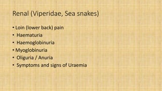 Renal (Viperidae, Sea snakes)
• Loin (lower back) pain
• Haematuria
• Haemoglobinuria
• Myoglobinuria
• Oliguria / Anuria
• Symptoms and signs of Uraemia
 