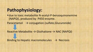 Pathophysiology:
due to toxic metabolite N-acetyl-P-benzoquinonemine
(NAPQI), produced by P450 enzyme.
Paracetamol → conj...