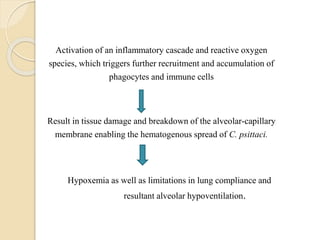 Activation of an inflammatory cascade and reactive oxygen
species, which triggers further recruitment and accumulation of
phagocytes and immune cells
Result in tissue damage and breakdown of the alveolar-capillary
membrane enabling the hematogenous spread of C. psittaci.
Hypoxemia as well as limitations in lung compliance and
resultant alveolar hypoventilation.
 