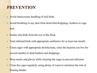 PREVENTION
 Avoid unnecessary handling of sick birds.
 Avoid breathing in any dust from dried bird droppings, feathers or cage
dust.
 Isolate sick birds from the rest of the flock.
 Treat infected birds with appropriate antibiotics for at least one month.
 Clean cages with appropriate disinfectants, since the bacteria can live for
several months in shed feathers and droppings.
 Wear masks and gloves while cleaning the cages to prevent infection
 Clean the cages regularly, using plenty of water to minimise the risk of
floating dander.
 