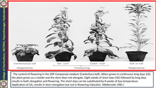 regulation of flowering in flower crops it includes various methods of ...