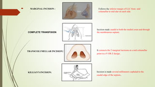 Mid Neck Incision seminar on rhinoplasty.pptx