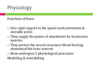 Physiology
Functions of bone:
 Give rigid support to the spinal cord,extremities &
movable joints
 They supply the points of attachment for locomotive
muscles
 They protect the neural structures blood forming
elementsof the bone marrow
 Bone undergoes 2 physiological processes:
Modelling & remodelling
 