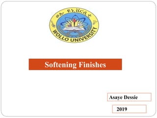 Softening Finishes
Asaye Dessie
2019
 