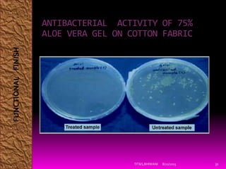 8/21/2015TIT&S,BHIWANI 31
ANTIBACTERIAL ACTIVITY OF 75%
ALOE VERA GEL ON COTTON FABRIC
FUNCTIONALFINISH
 