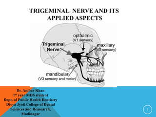 TRIGEMINAL NERVE AND ITS
APPLIED ASPECTS
1
Dr. Ambar Khan
1st year MDS student
Dept. of Public Health Dentistry
Divya Jyoti College of Dental
Sciences and Reasearch,
Modinagar
 