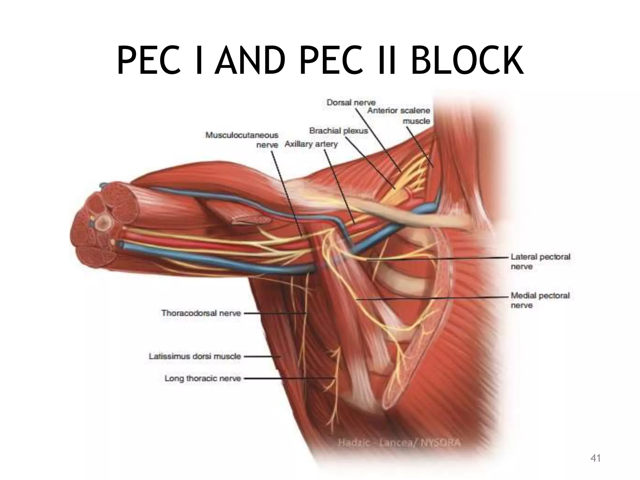 PEC I AND PEC II BLOCK
41
 