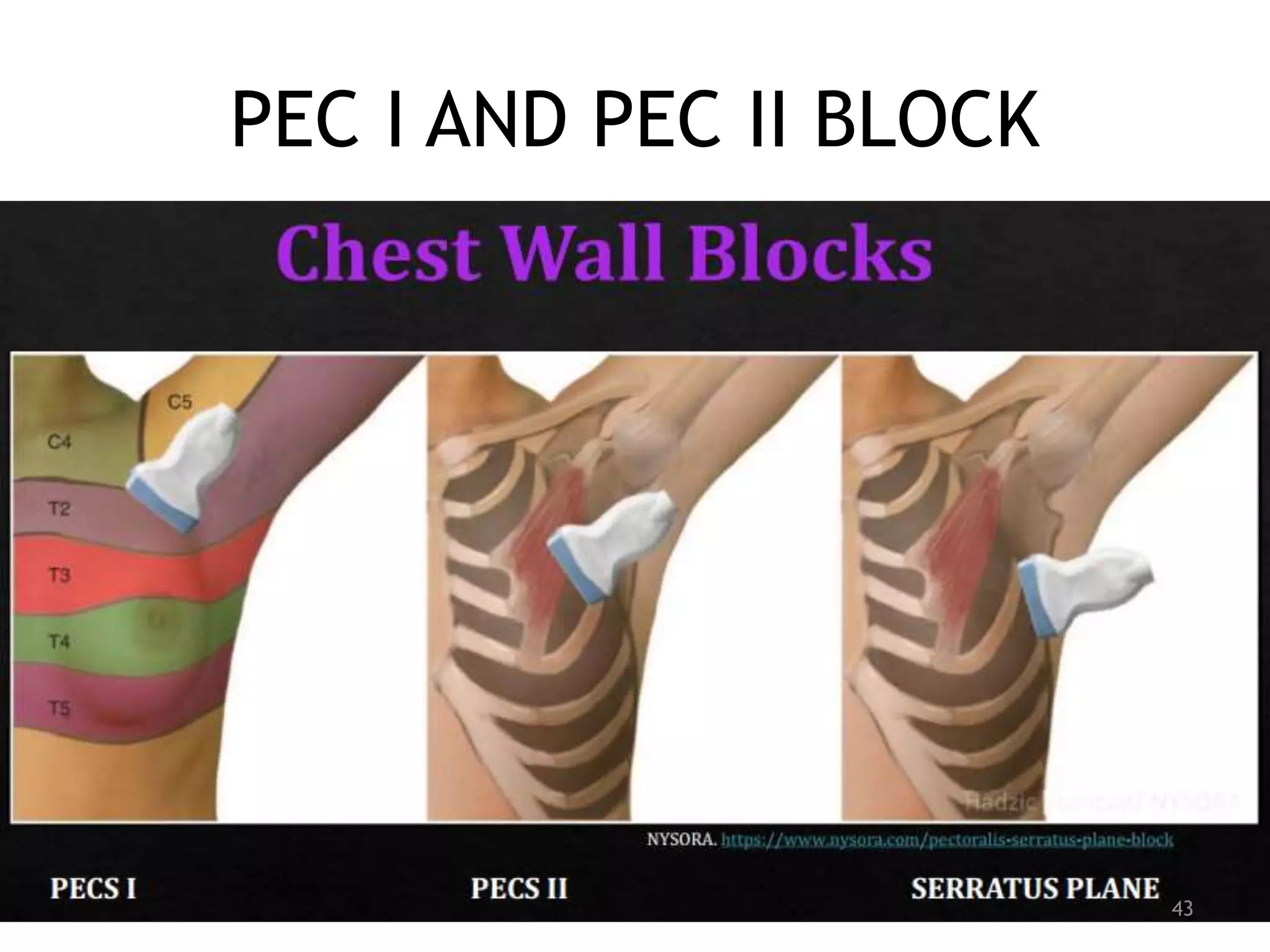 PEC I AND PEC II BLOCK
43
 