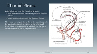 Ventricle anatomy and CSF physiology.pptx