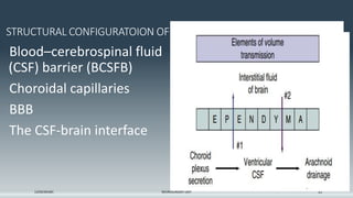 Ventricle anatomy and CSF physiology.pptx