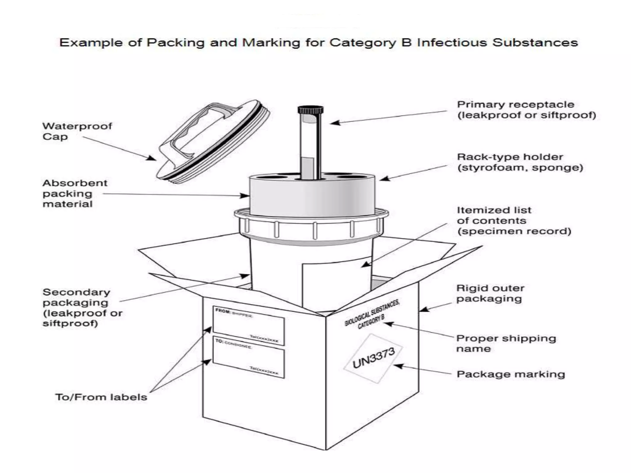samplecollection and transport of sample | PPTX