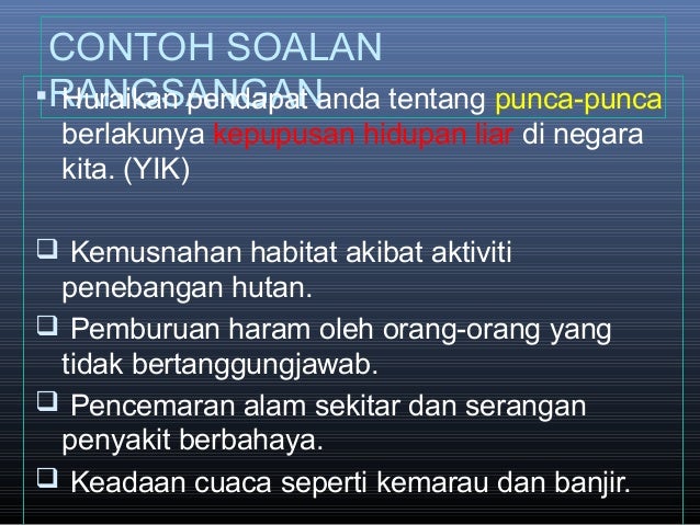 Contoh Karangan Aktiviti Kokurikulum - Contoh 317