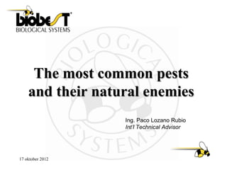 The most common pests
    and their natural enemies
                  Ing. Paco Lozano Rubio
                  Int’l Technical Advisor




17 oktober 2012
 