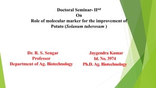 Doctoral Seminar- IInd
On
Role of molecular marker for the improvement of
Potato (Solanum tuberosum )
PJaygendra Kumar
Id. No. 3974
Ph.D. Ag. Biotechnology
CDr. R. S. Sengar
Professor
Department of Ag. Biotechnology
 
