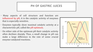PH OF GASTRIC JUICES
• Many aspects of cell structure and function are
influenced by pH, it is the catalytic activity of enzymes
that is especially sensitive.
• Enzymes typically show maximal catalytic activity at a
characteristic pH, called the pH optimum.
• On either side of the optimum pH their catalytic activity
often declines sharply. Thus, a small change in pH can
make a large difference in the rate of some crucial
enzyme-catalyzed reactions.
 