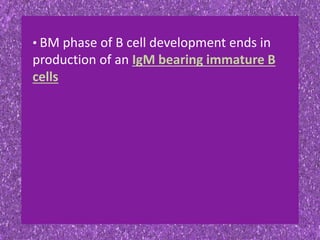 • BM phase of B cell development ends in
production of an IgM bearing immature B
cells
 