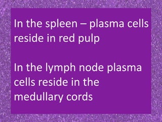 In the spleen – plasma cells
reside in red pulp
In the lymph node plasma
cells reside in the
medullary cords
 