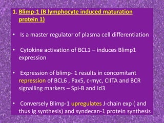 1. Blimp-1 (B lymphocyte induced maturation
protein 1)
• Is a master regulator of plasma cell differentiation
• Cytokine activation of BCL1 – induces Blimp1
expression
• Expression of blimp- 1 results in concomitant
repression of BCL6 , Pax5, c-myc, CIITA and BCR
signalling markers – Spi-B and Id3
• Conversely Blimp-1 upregulates J-chain exp ( and
thus Ig synthesis) and syndecan-1 protein synthesis
 