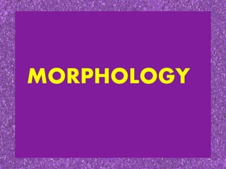 MORPHOLOGY
 