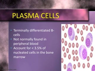 • Terminally differentiated B-
cells
• Not normally found in
peripheral blood
• Account for < 3.5% of
nucleated cells in the bone
marrow
PLASMA CELLS
 