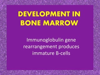 DEVELOPMENT IN
BONE MARROW
Immunoglobulin gene
rearrangement produces
immature B-cells
 
