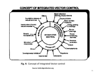 Contemporary Methods of insect-vector control | PPTX