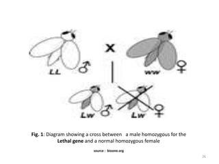 Contemporary Methods of insect-vector control