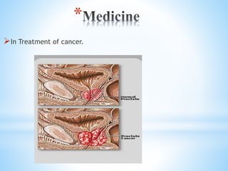*
?In Treatment of cancer.
 