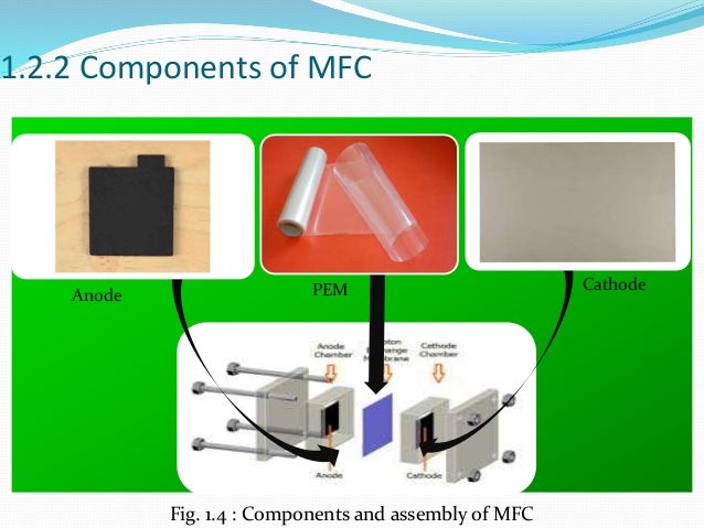 Granular activated carbon single chamber microbial fuel cells