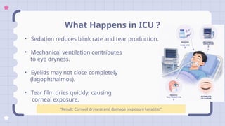 Preventing Exposure Keratitis in ICU Patients: A Critical Eye Care ...