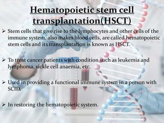 Hematopoietic stem cell
transplantation(HSCT)
 Stem cells that give rise to the lymphocytes and other cells of the
immune system, also makes blood cells, are called hematopoietic
stem cells and its transplantation is known as HSCT.
 To treat cancer patients with condition such as leukemia and
lymphoma, sickle cell anaemia, etc.
 Used in providing a functional immune system in a person with
SCID.
 In restoring the hematopoietic system.
 
