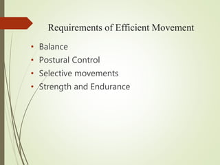 Requirements of Efficient Movement
• Balance
• Postural Control
• Selective movements
• Strength and Endurance
 