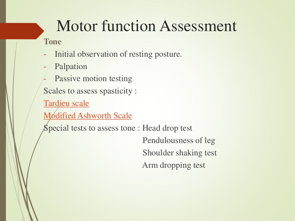 Motor control Assessment