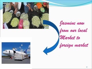 Jasmine now 
from our local 
Market to 
foreign market 
31 
 
