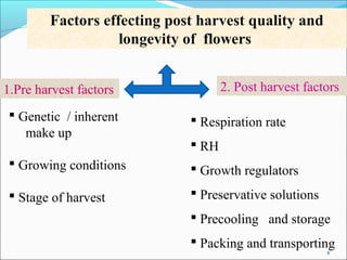 Factors effecting post harvest quality and 
longevity of flowers 
1.Pre harvest factors 2. Post harvest factors 
 Genetic / inherent 
4 
make up 
 Growing conditions 
 Stage of harvest 
 Respiration rate 
 RH 
 Growth regulators 
 Preservative solutions 
 Precooling and storage 
 Packing and transporting 
 