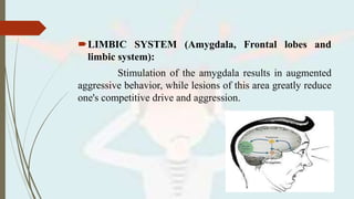 LIMBIC SYSTEM (Amygdala, Frontal lobes and
limbic system):
Stimulation of the amygdala results in augmented
aggressive behavior, while lesions of this area greatly reduce
one's competitive drive and aggression.
 