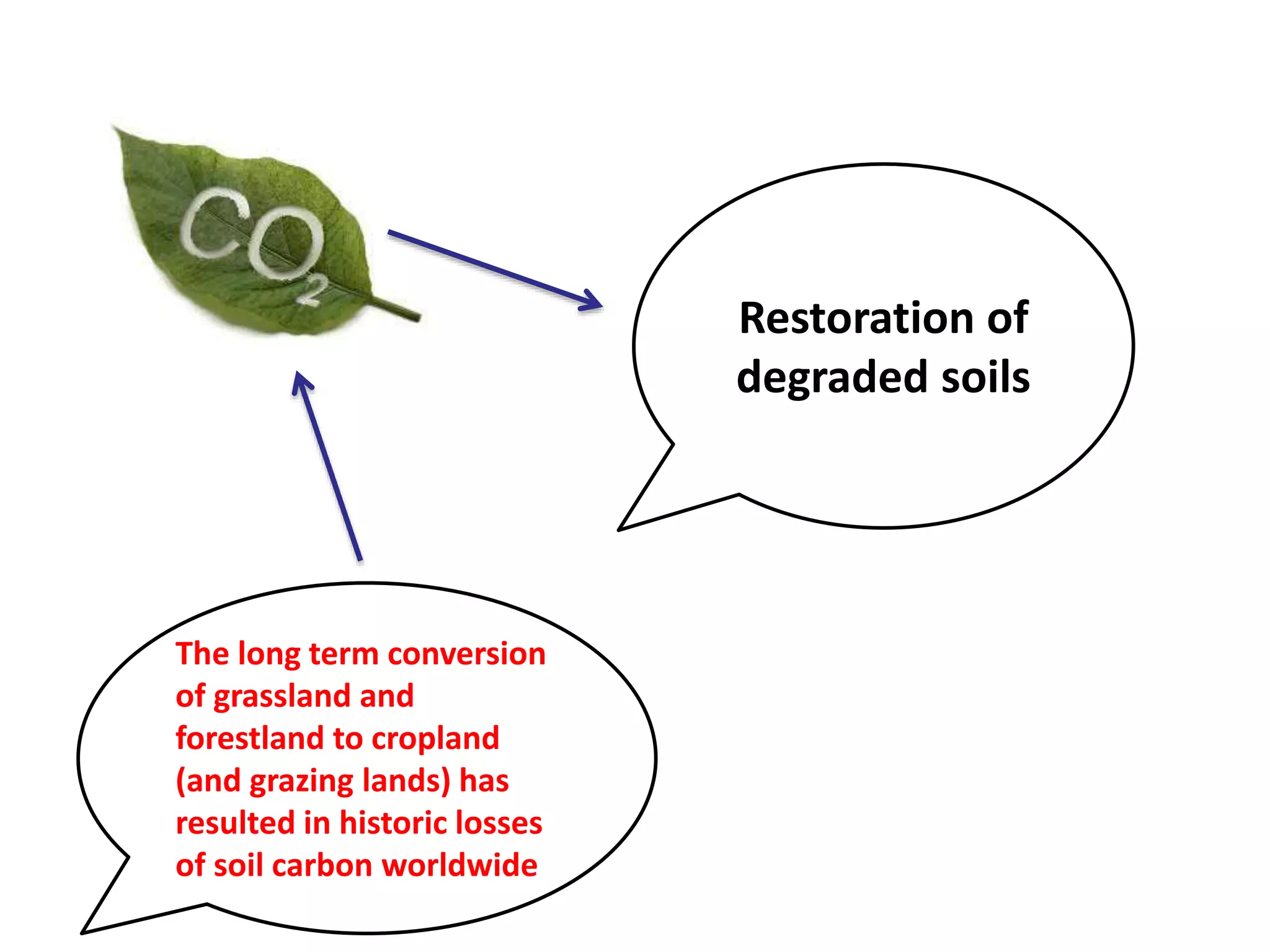 The long term conversion
of grassland and
forestland to cropland
(and grazing lands) has
resulted in historic losses
of soil carbon worldwide
Restoration of
degraded soils
 