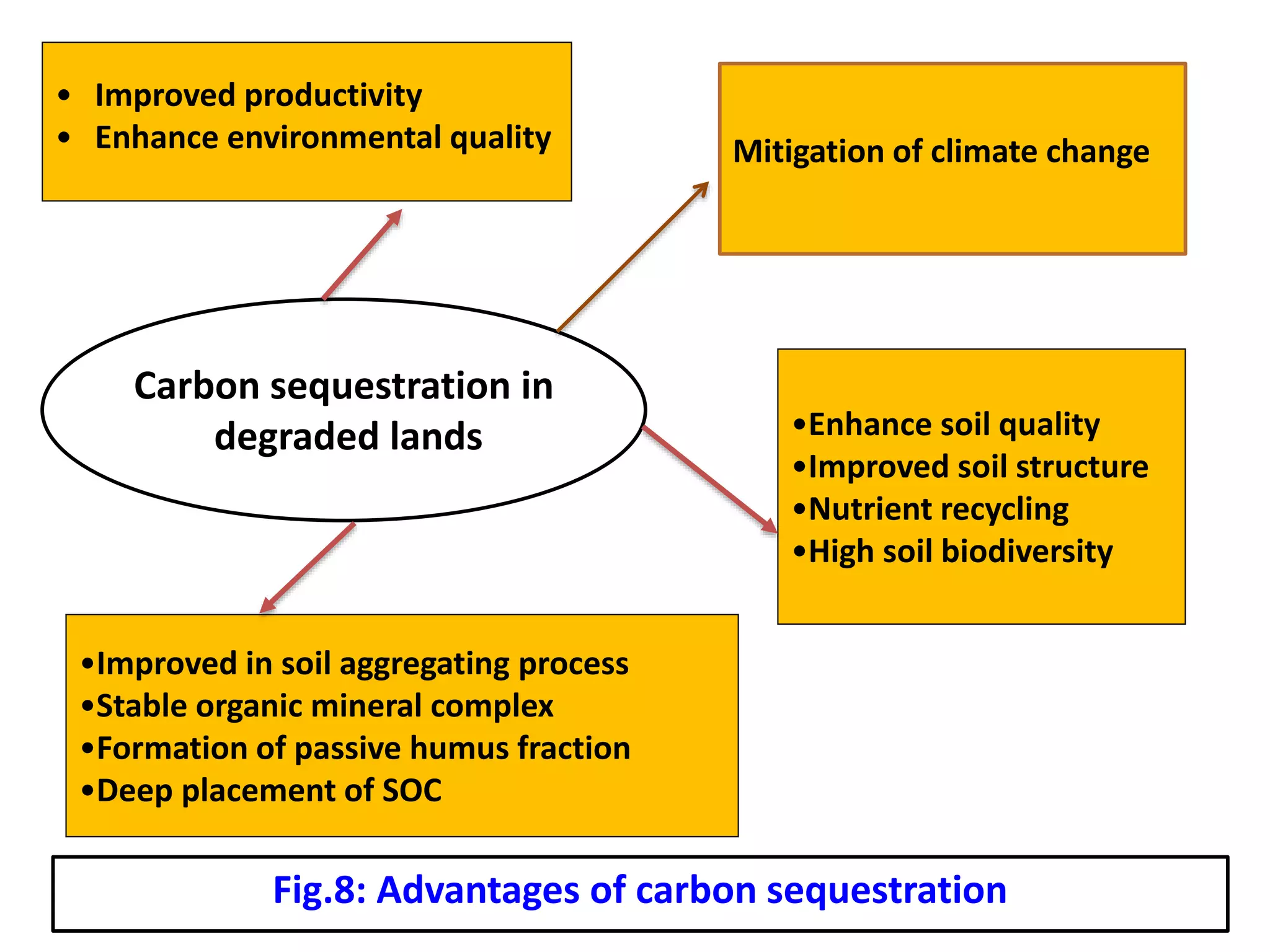 Fig.8: Advantages of carbon sequestration
• Improved productivity
• Enhance environmental quality
Carbon sequestration in
degraded lands
•Improved in soil aggregating process
•Stable organic mineral complex
•Formation of passive humus fraction
•Deep placement of SOC
•Enhance soil quality
•Improved soil structure
•Nutrient recycling
•High soil biodiversity
Mitigation of climate change
 
