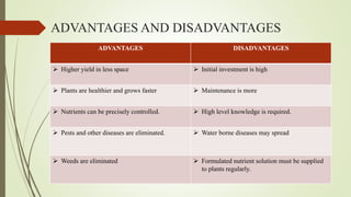 ADVANTAGES AND DISADVANTAGES
ADVANTAGES DISADVANTAGES
 Higher yield in less space  Initial investment is high
 Plants are healthier and grows faster  Maintenance is more
 Nutrients can be precisely controlled.  High level knowledge is required.
 Pests and other diseases are eliminated.  Water borne diseases may spread
 Weeds are eliminated  Formulated nutrient solution must be supplied
to plants regularly.
 