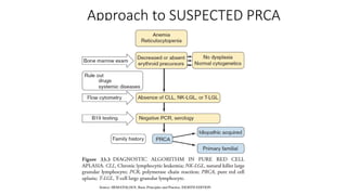 Prca Risk Class Pure Red cell aplasia Approach and Management | PPTX