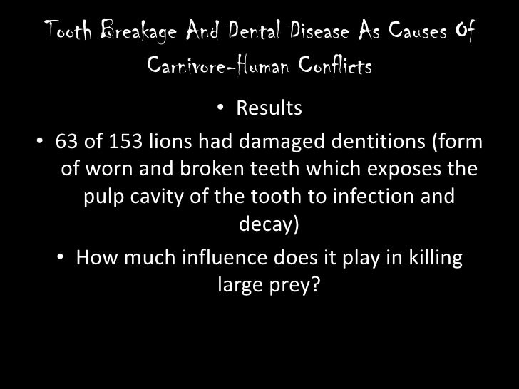 Tooth Breakage And Dental Disease As Causes Of CarnivoreHuman Confli…