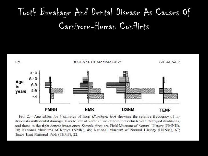 Tooth Breakage And Dental Disease As Causes Of CarnivoreHuman Confli…